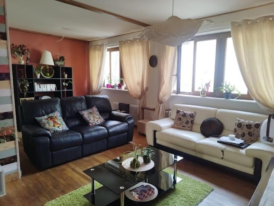 Le Passage Du Faubourg, Agreable T3 En Duplex De 120M2 Apartment Saint-Leonard-de-Noblat Ngoại thất bức ảnh